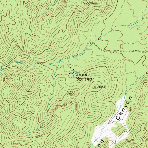 Topographic Map of Tank Spring, NV