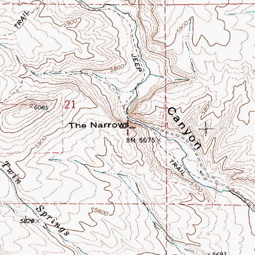 Topographic Map of The Narrows, NV