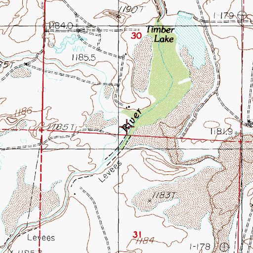 Topographic Map of Timber Lake, NV