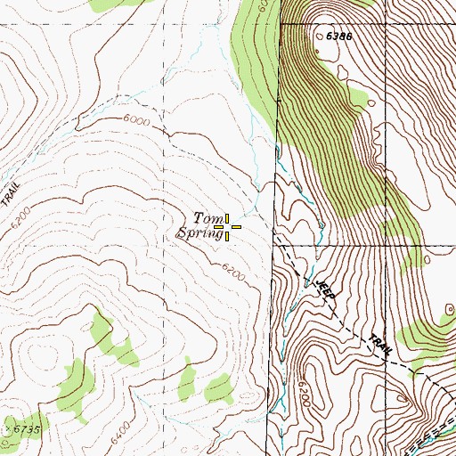 Topographic Map of Tom Spring, NV