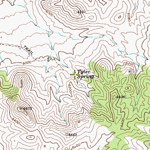Topographic Map of Tyler Spring, NV