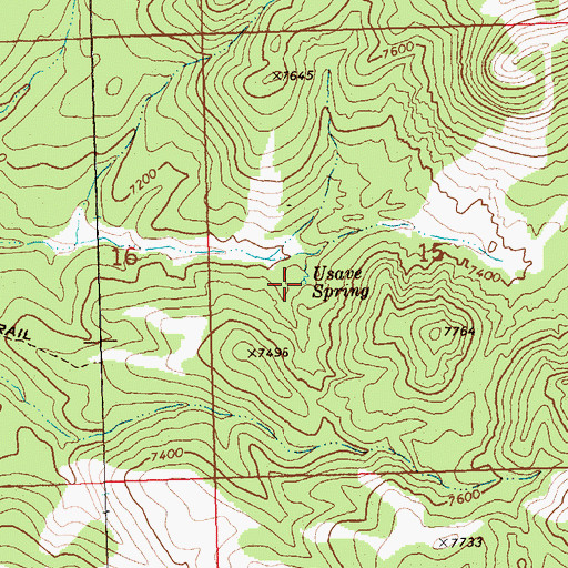 Topographic Map of Usave Spring, NV