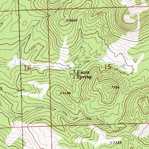 Topographic Map of Usave Spring, NV