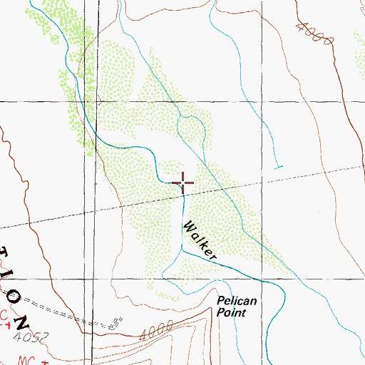 Topographic Map of Walker River, NV