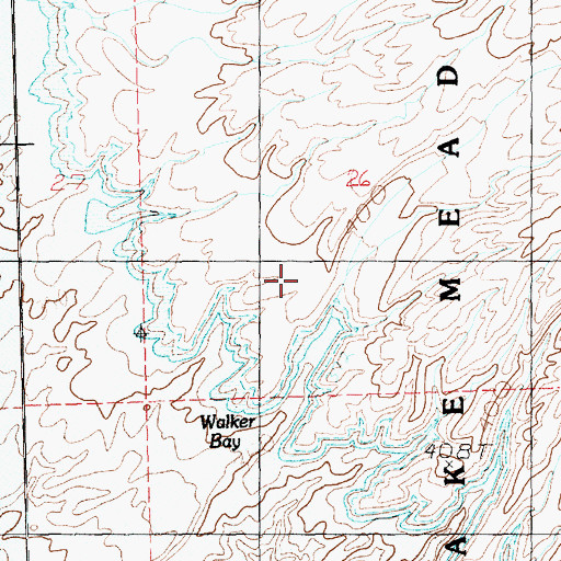 Topographic Map of Walker Wash, NV