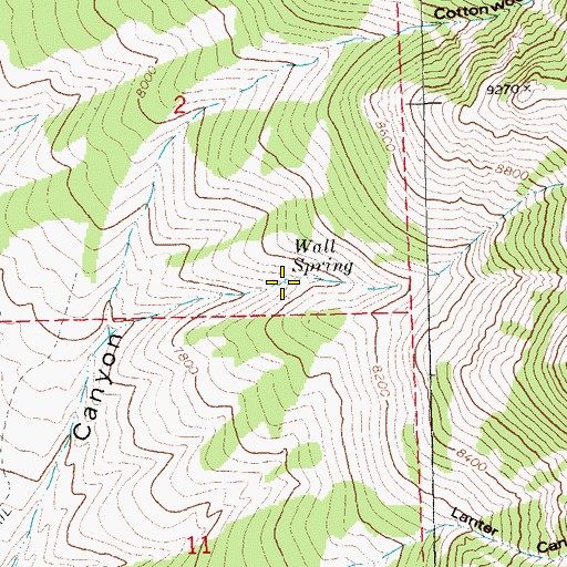 Topographic Map of Wall Spring, NV