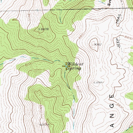 Topographic Map of Wildcat Spring, NV