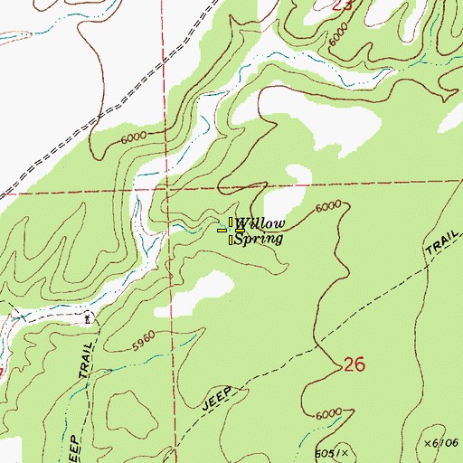 Topographic Map of Willow Spring, NV
