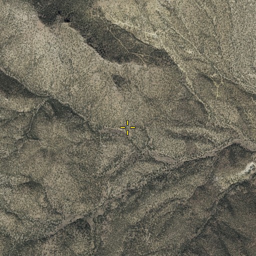 Aerial/Satellite Image of Willow Spring, NV