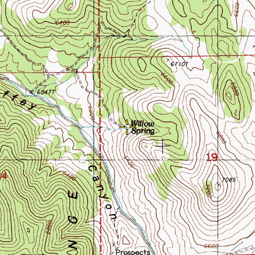 Topographic Map of Willow Spring, NV