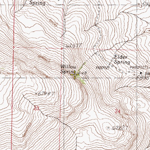 Topographic Map of Willow Spring, NV