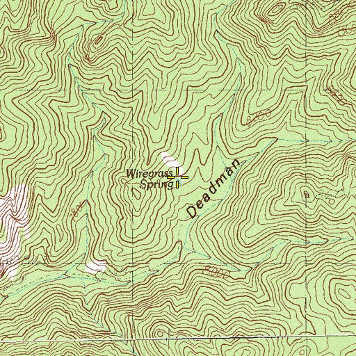 Topographic Map of Wiregrass Spring, NV