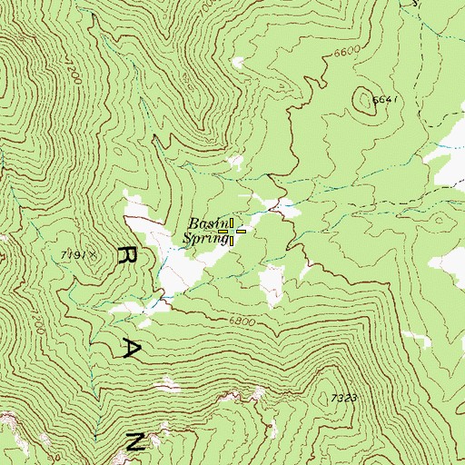 Topographic Map of Basin Spring, NV