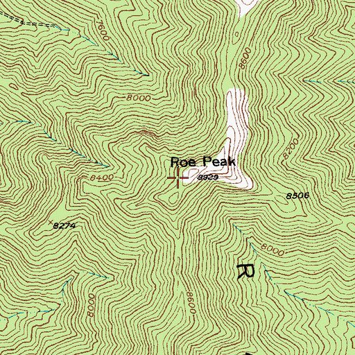 Topographic Map of Bristol Range, NV
