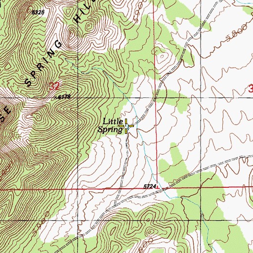 Topographic Map of Little Spring, NV