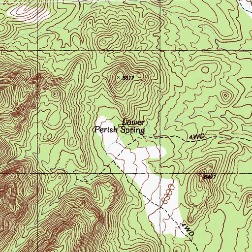 Topographic Map of Lower Perish Spring, NV