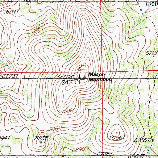 Topographic Map of Mason Mountain, NV