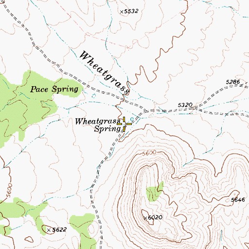 Topographic Map of Wheatgrass Spring, NV