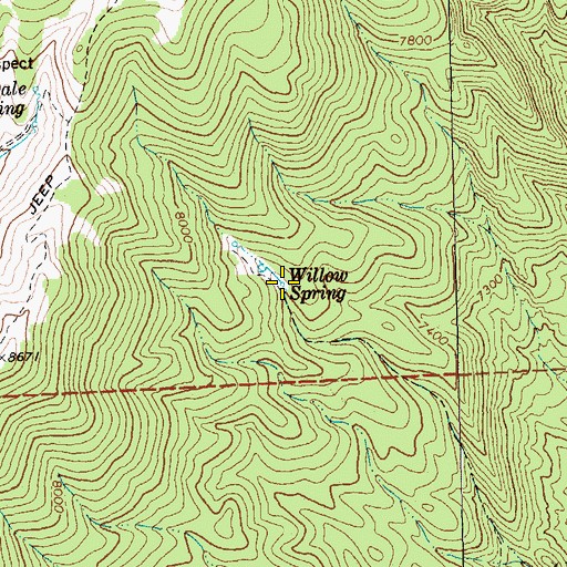 Topographic Map of Willow Spring, NV