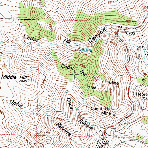 Topographic Map of Cedar Hill, NV