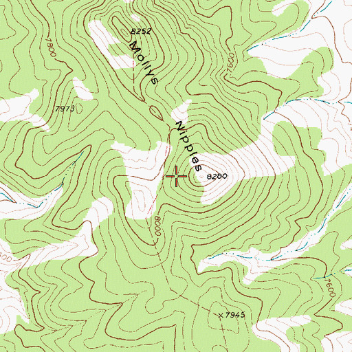 Topographic Map of Mollys Nipples, NV