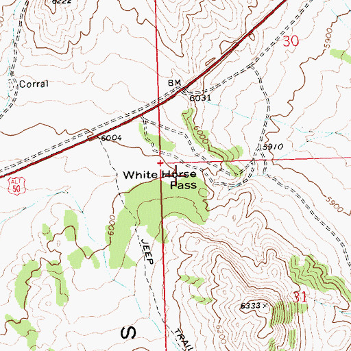 Topographic Map of White Horse Pass, NV