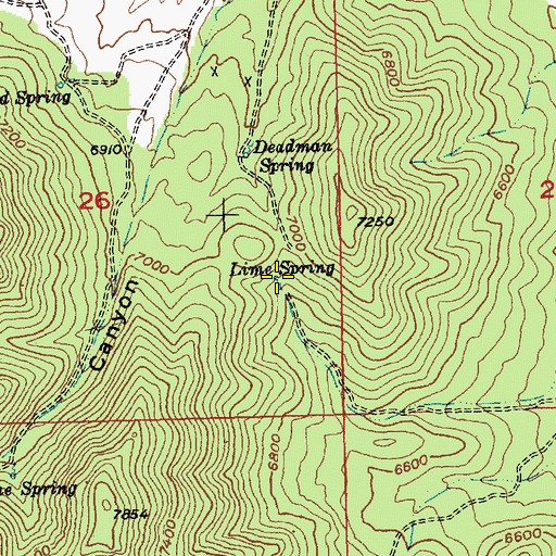 Topographic Map of Lime Spring, NV