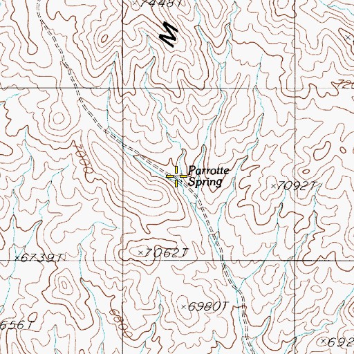 Topographic Map of Parrotte Spring, NV