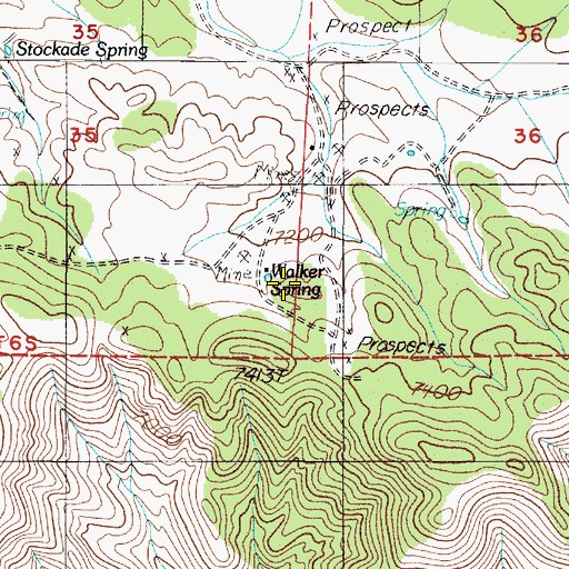 Topographic Map of Walker Spring, NV