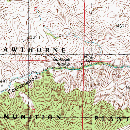 Topographic Map of Sorhouet Springs, NV