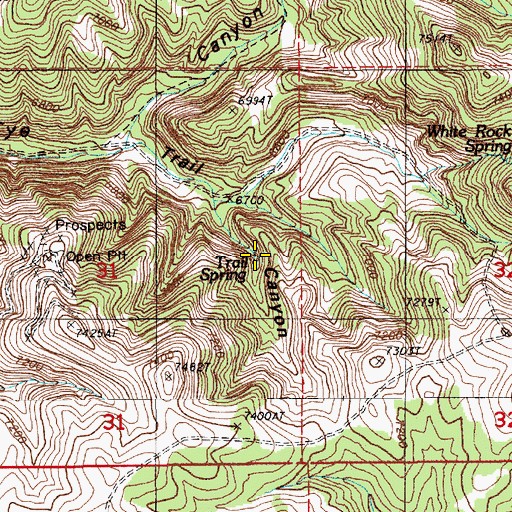 Topographic Map of Trail Spring, NV