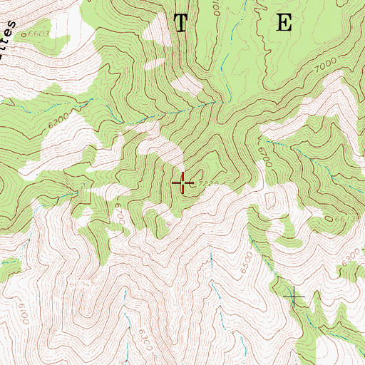 Topographic Map of Picture Rock, NV