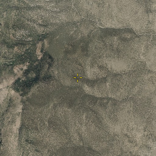 Aerial/Satellite Image of Silver Spring, NV