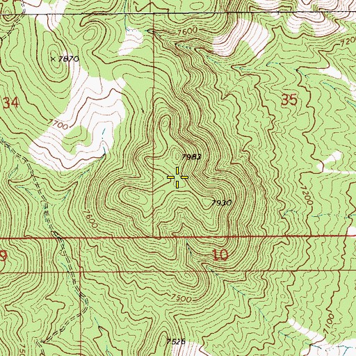 Topographic Map of Needle Range, NV