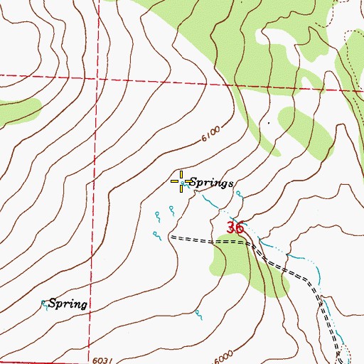 Topographic Map of Lemmy Spring, NV