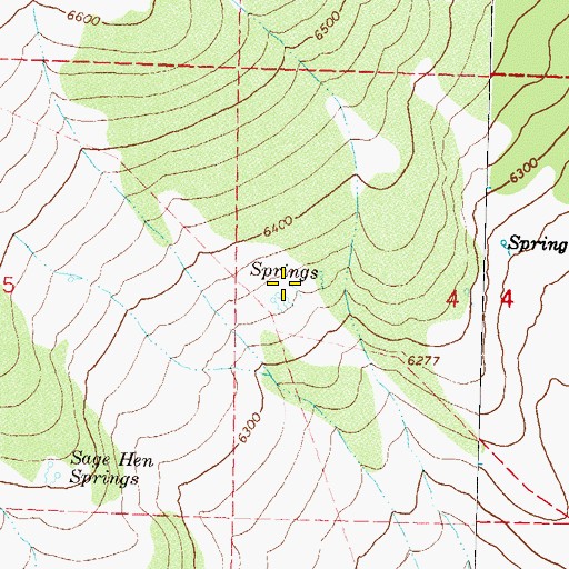 Topographic Map of True Spring, NV