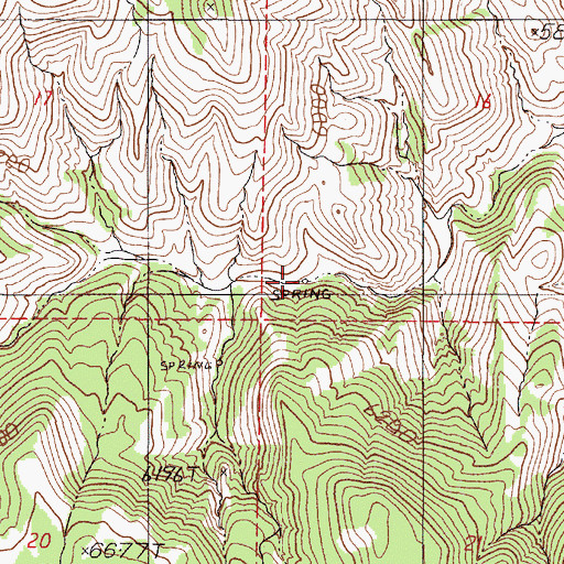 Topographic Map of Little Shoshone Spring, NV