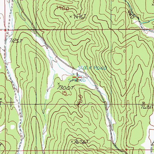Topographic Map of Dick Allison Spring, NV
