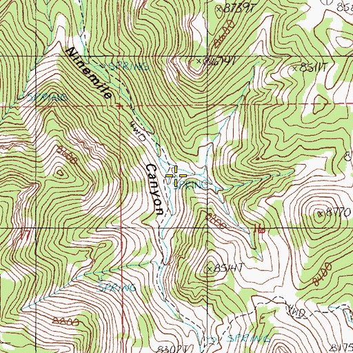 Topographic Map of Middle Spring, NV