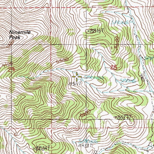 Topographic Map of Pine Spring, NV