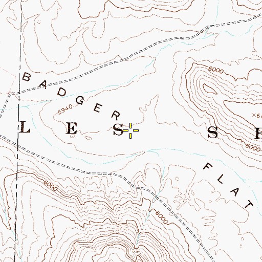 Topographic Map of Badger Flat, NV