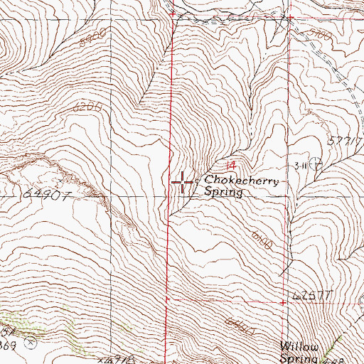 Topographic Map of Chokecherry Spring, NV