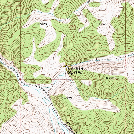 Topographic Map of Cornin Spring, NV