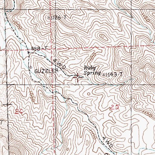 Topographic Map of Ruby Spring, NV