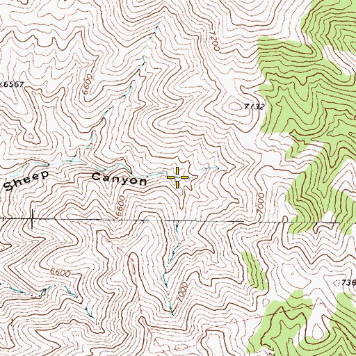 Topographic Map of Trap Corral Spring, NV