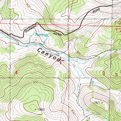 Topographic Map of Cottonwood Caon, NV