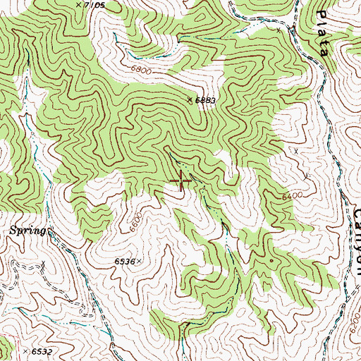 Topographic Map of Wild Horse Spring, NV