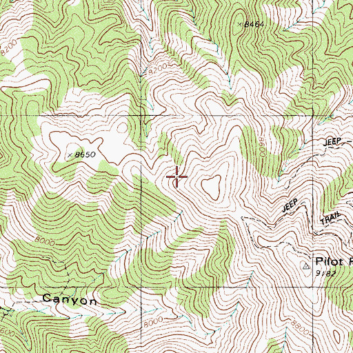 Topographic Map of Pilot Mountains, NV