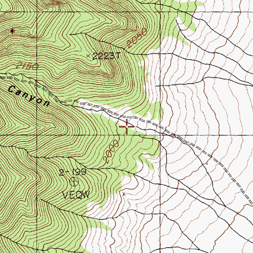 Topographic Map of Flat Canyon, NV