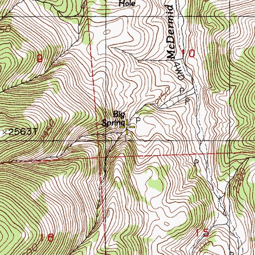 Topographic Map of Big Spring, NV